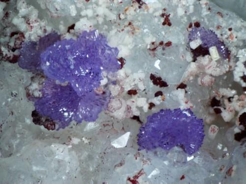 Strengite & Fluorapatite