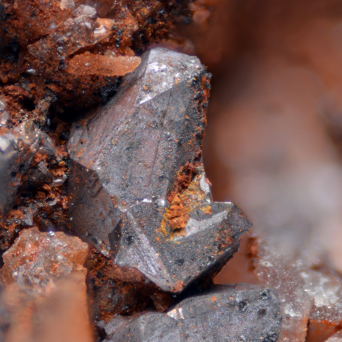 Native Copper & Roxbyite