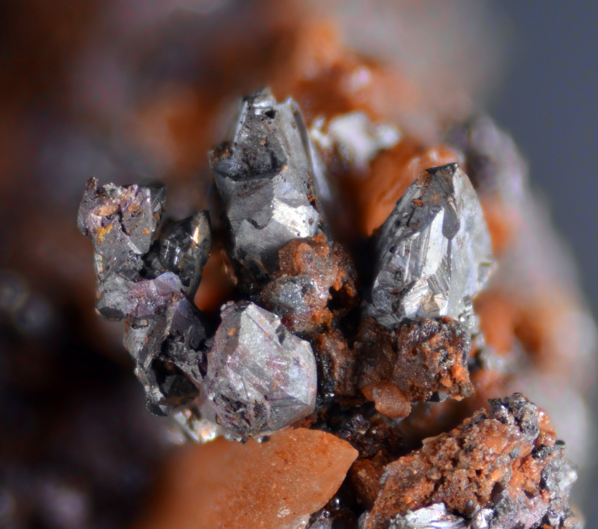 Native Copper & Roxbyite