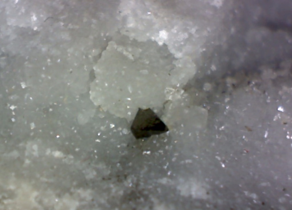 Colusite