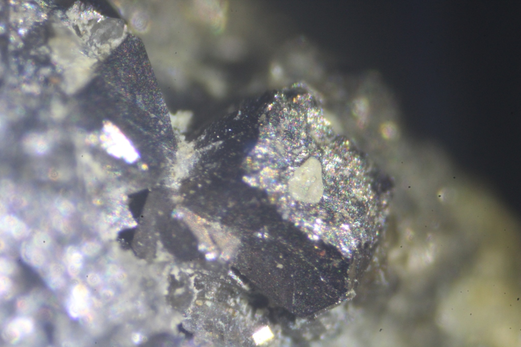 Carrollite
