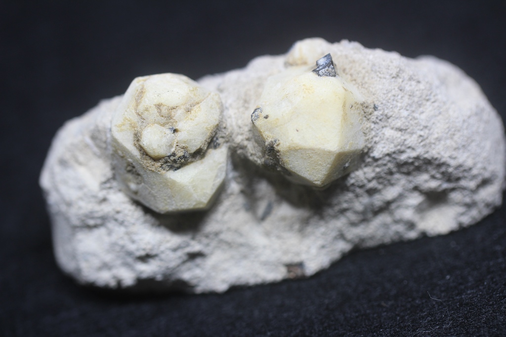 Leucite & Augite