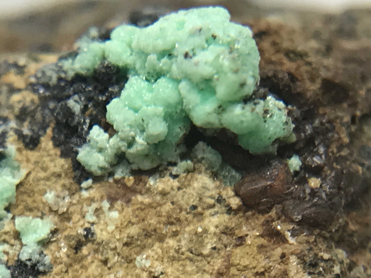 Annabergite