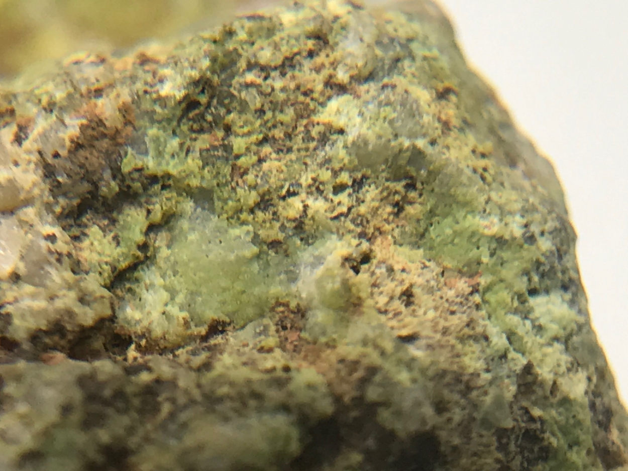 Hidalgoite