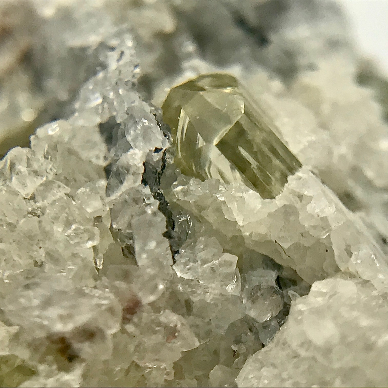 Fluorapatite