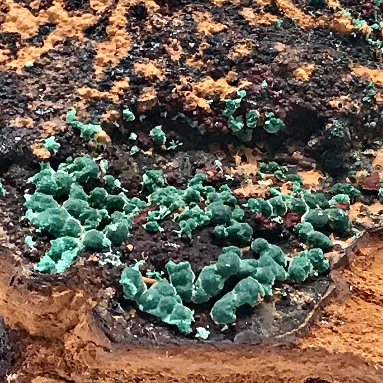 Aurichalcite