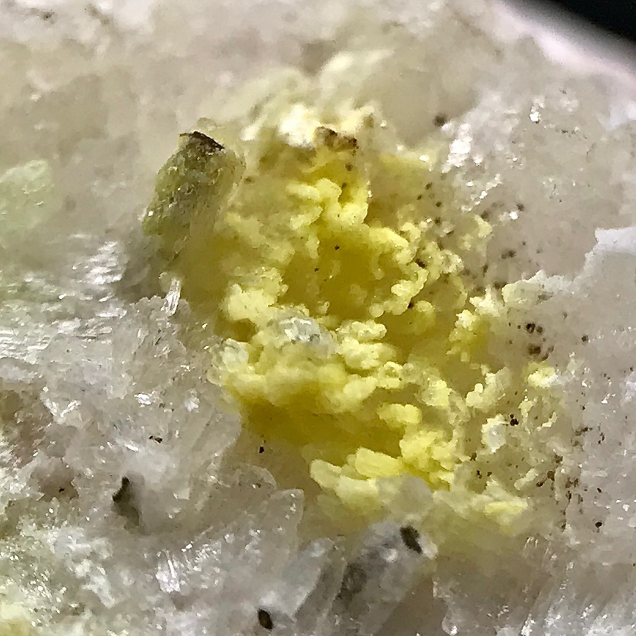 Autunite