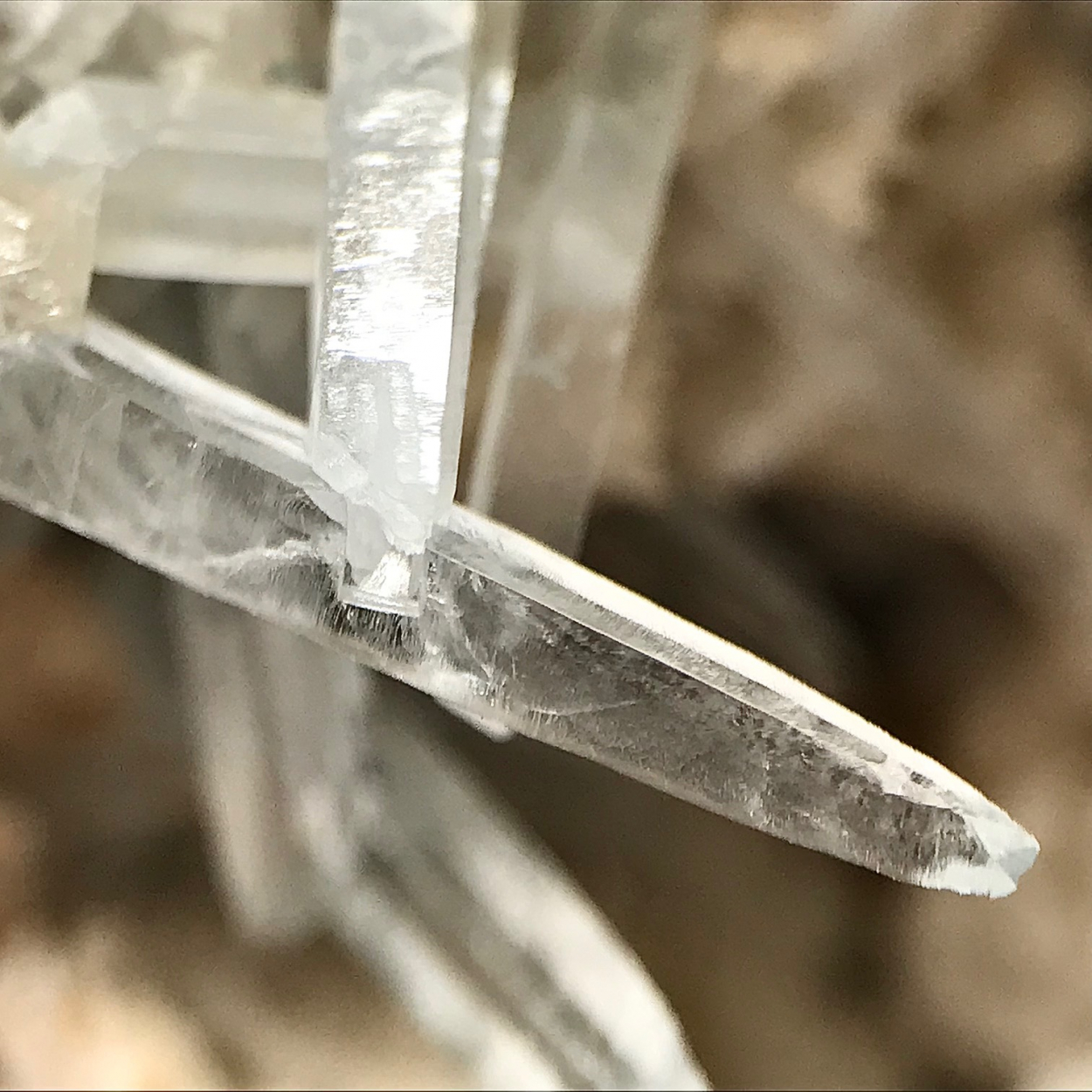 Celestine