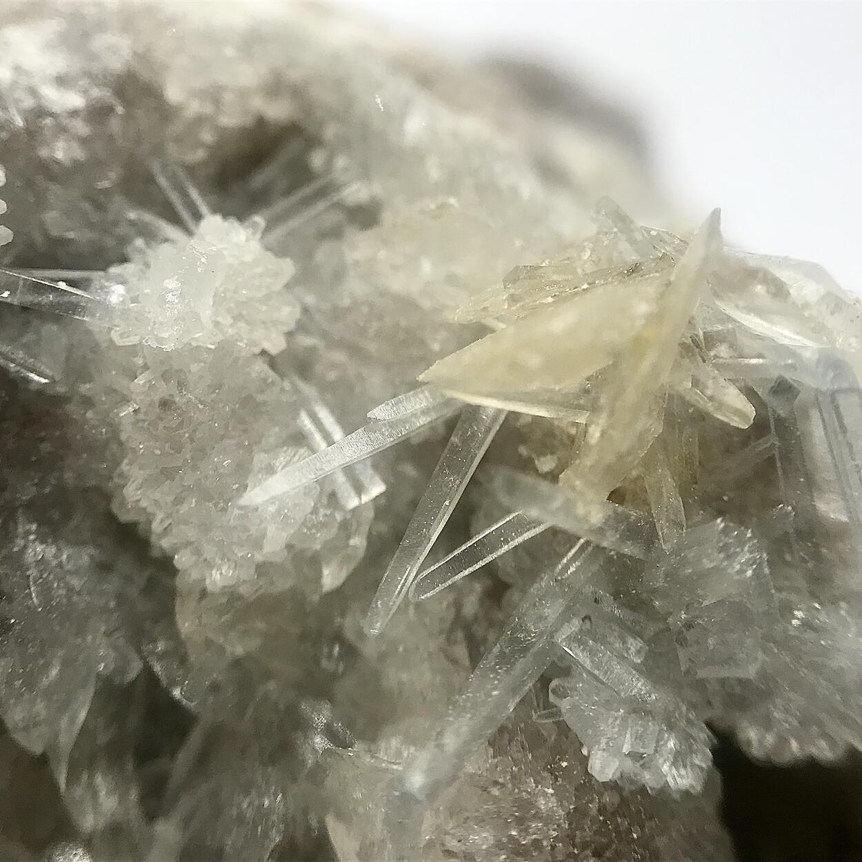 Celestine