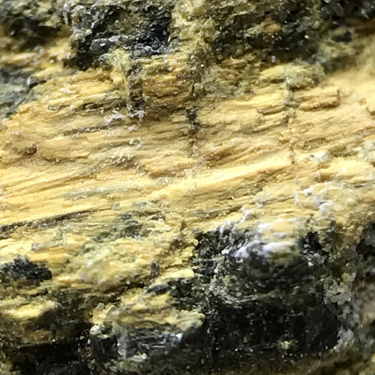 Bindheimite