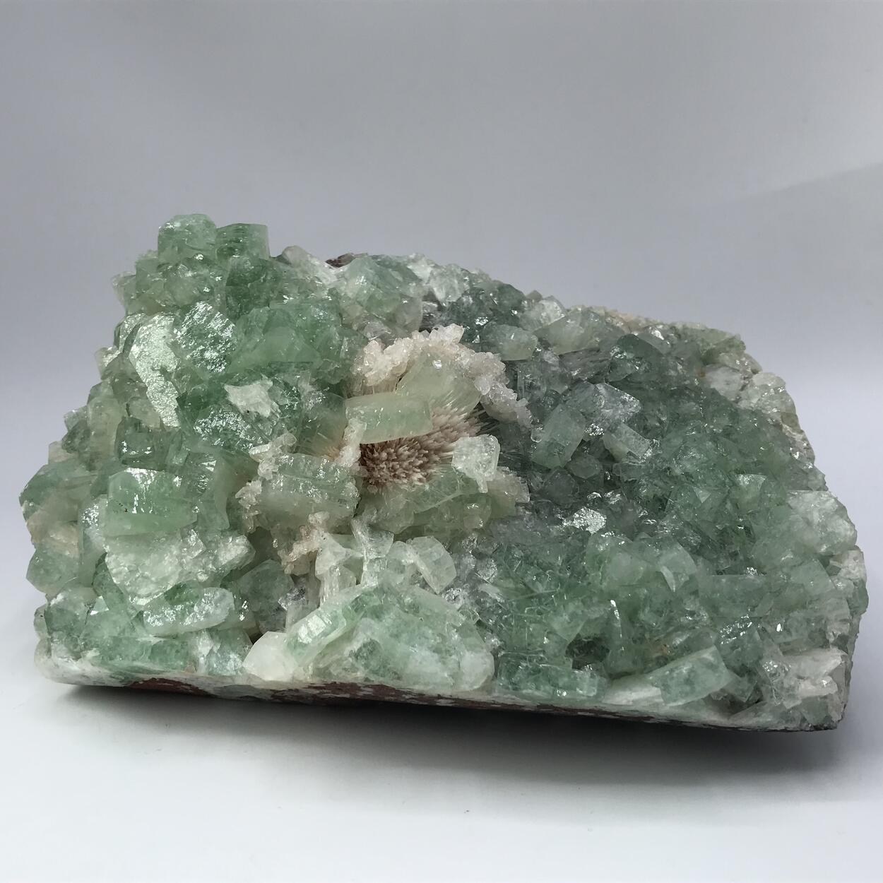 Fluorapophyllite