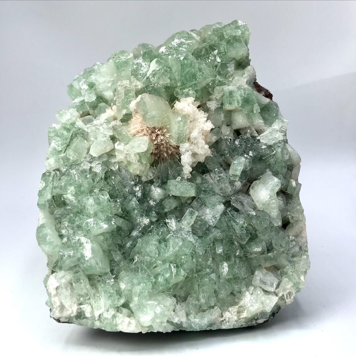 Fluorapophyllite