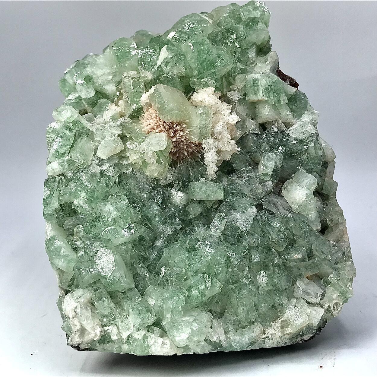 Fluorapophyllite