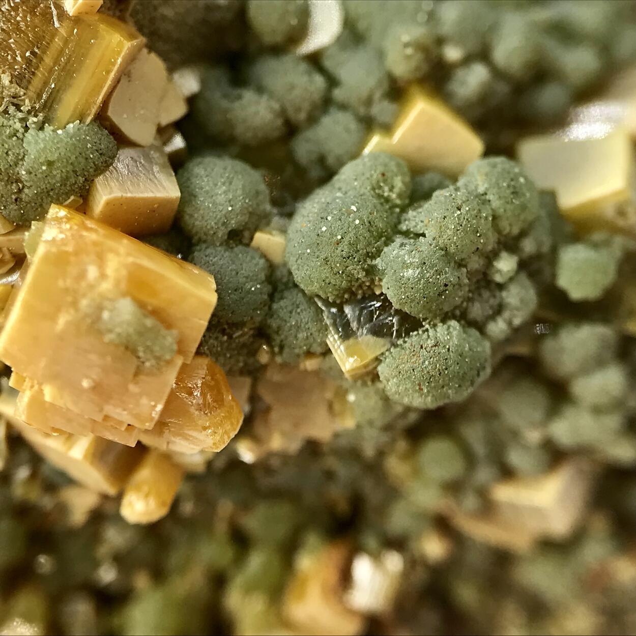 Wulfenite