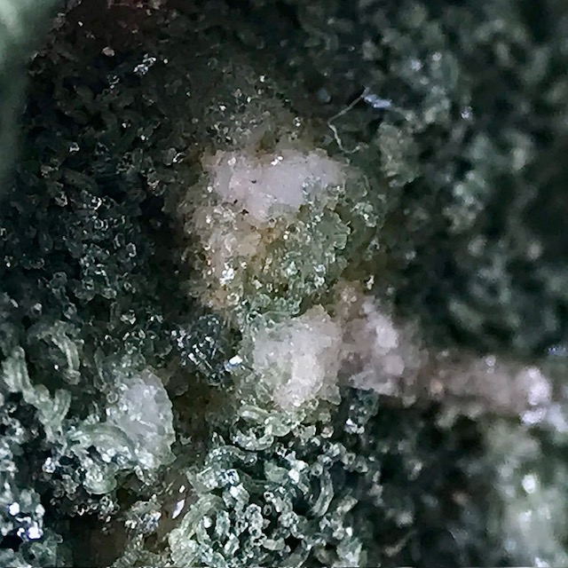 Titanite