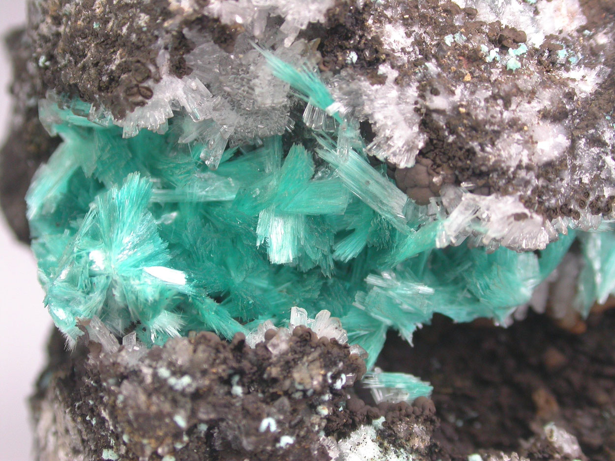 Aurichalcite & Hemimorphite