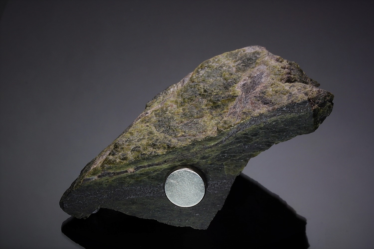 Pecoraite In Meteorite