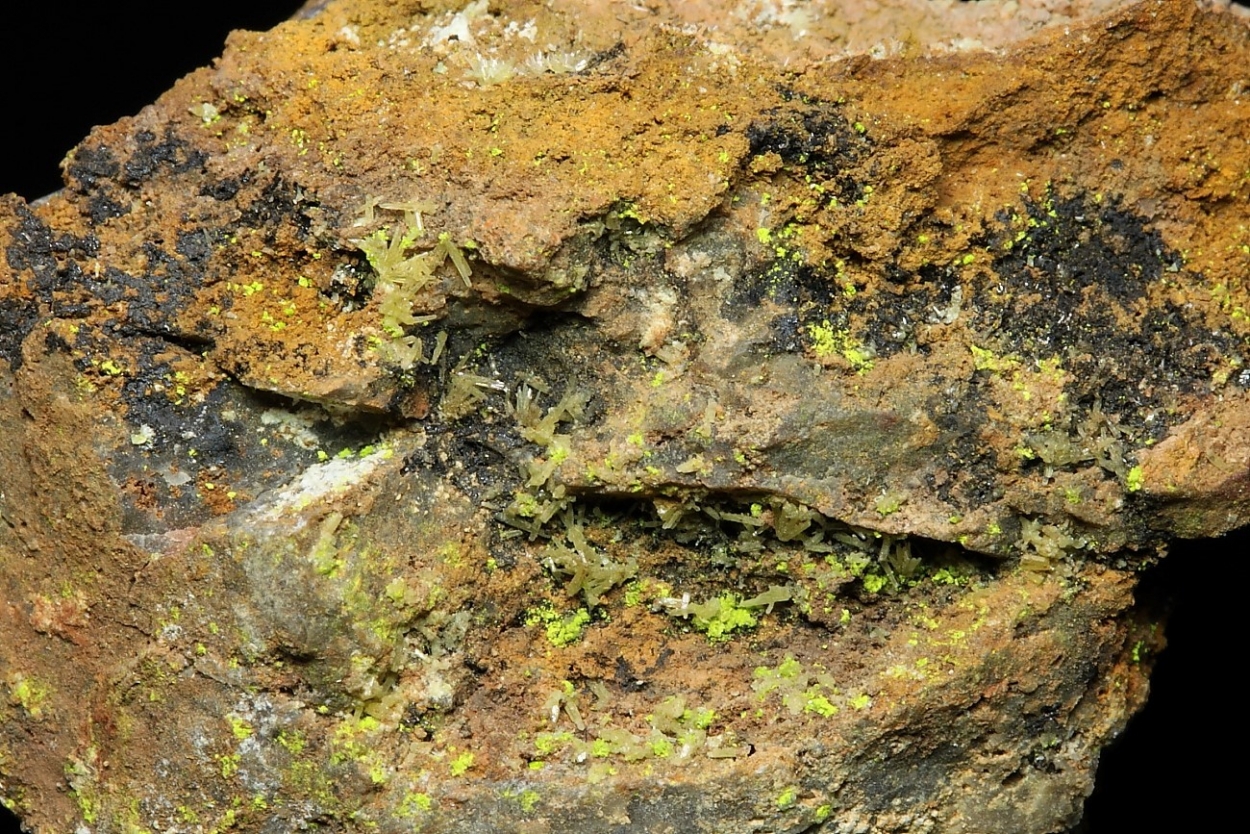 Vauquelinite & Pyromorphite