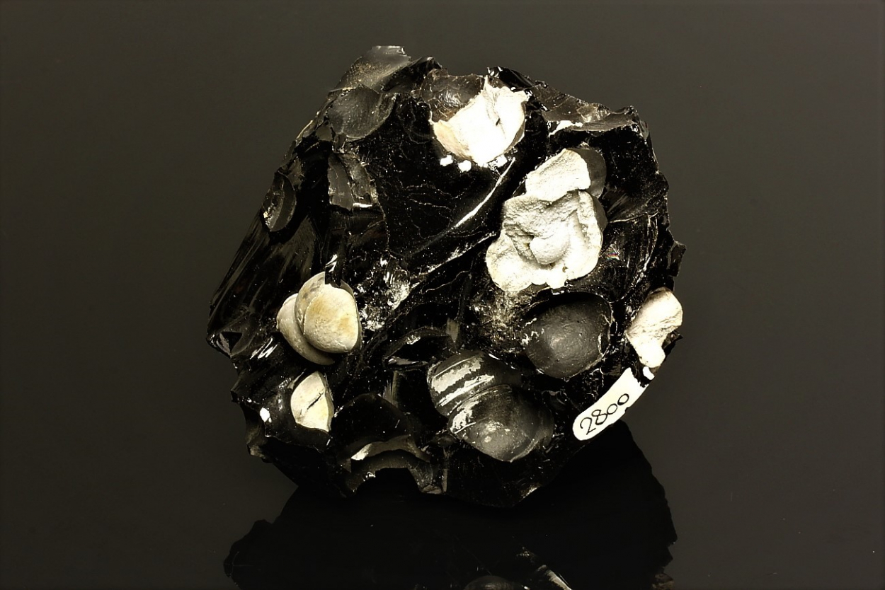 Cristobalite & Fayalite In Obsidian