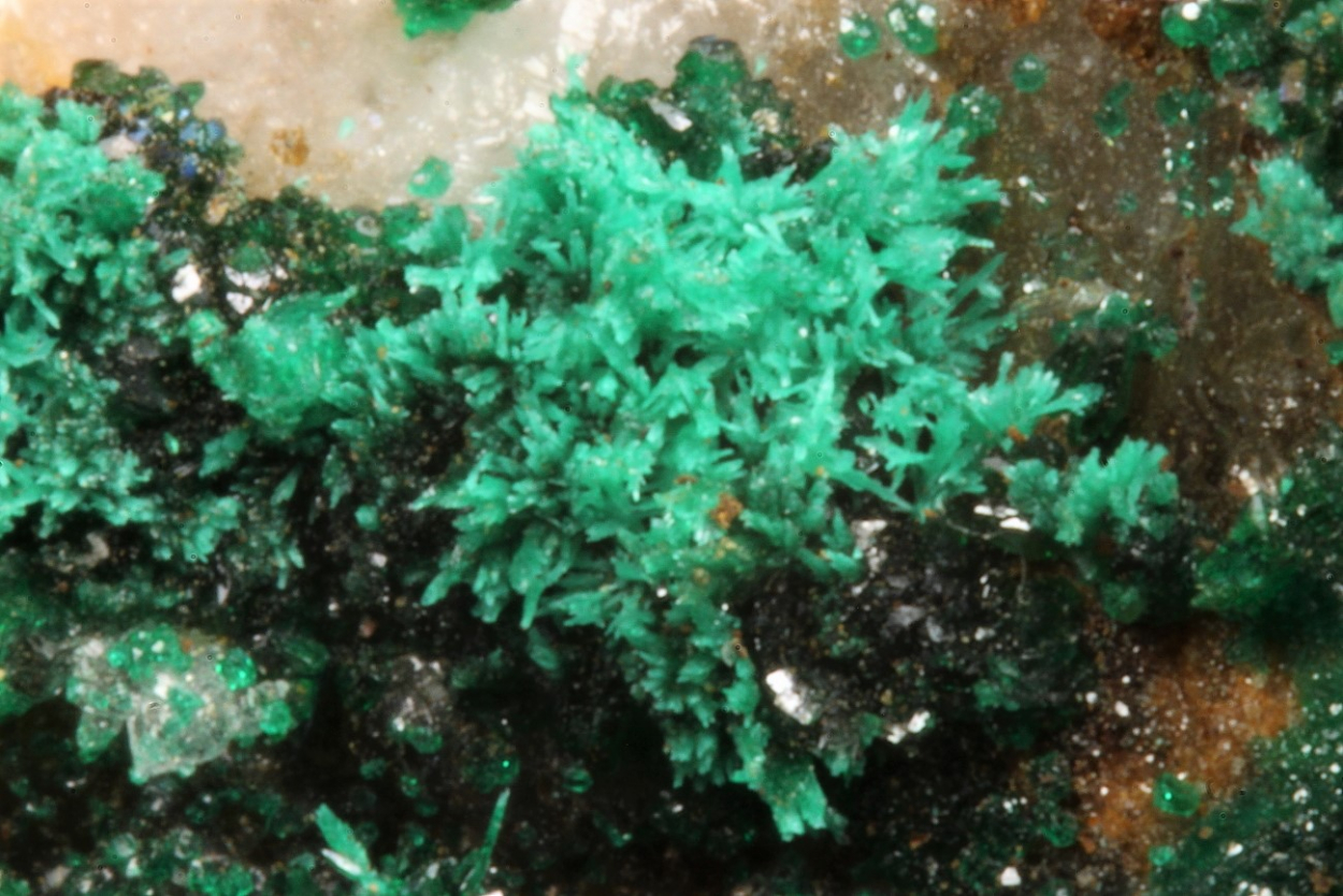 Ludjibaite On Pseudomalachite