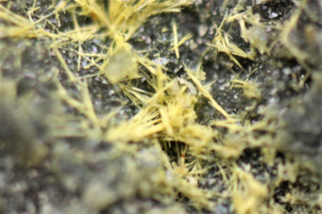 Cervantite
