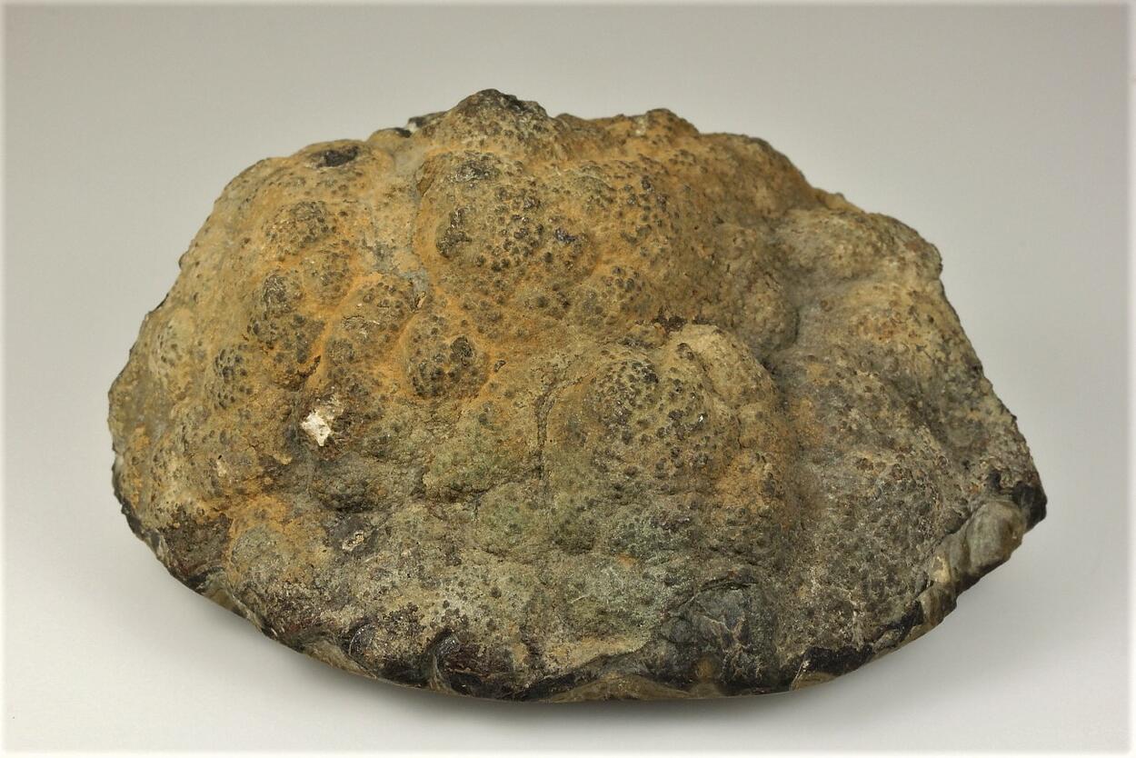 Schalenblende Marcasite Galena