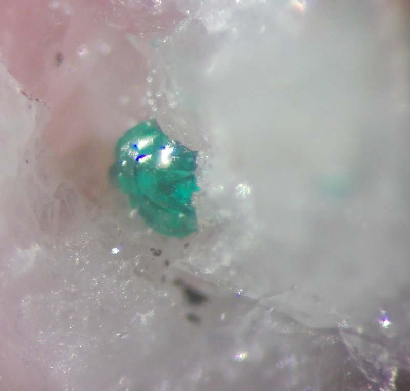 Sabelliite