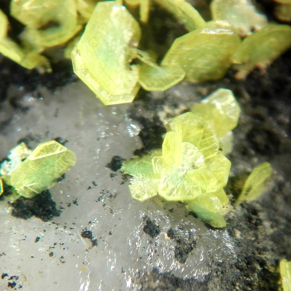 Autunite