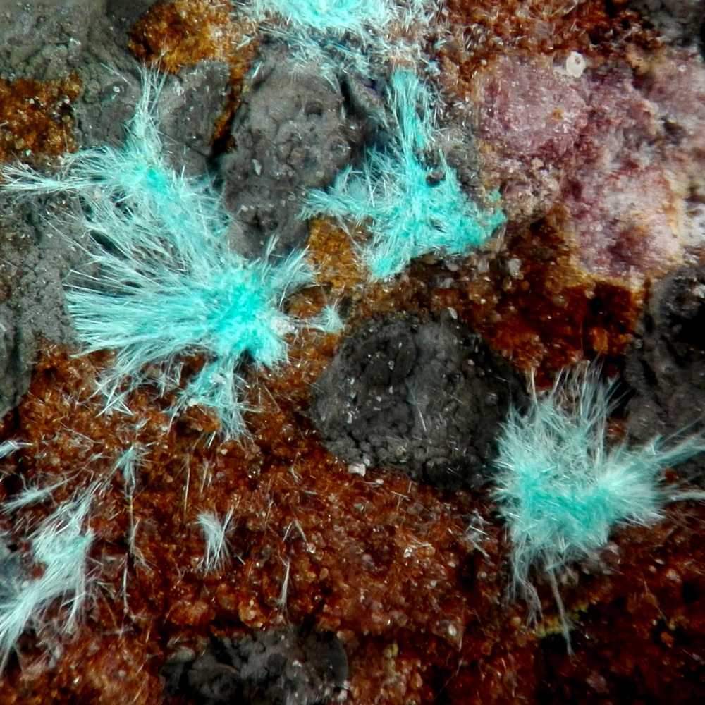 Goudeyite