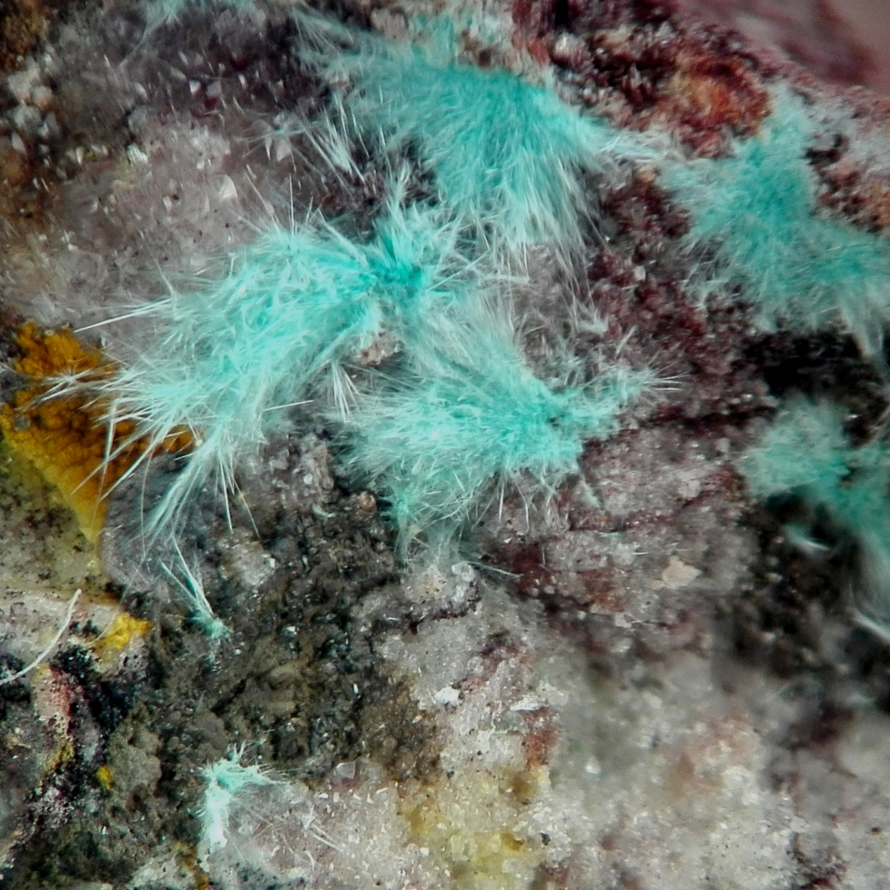 Goudeyite