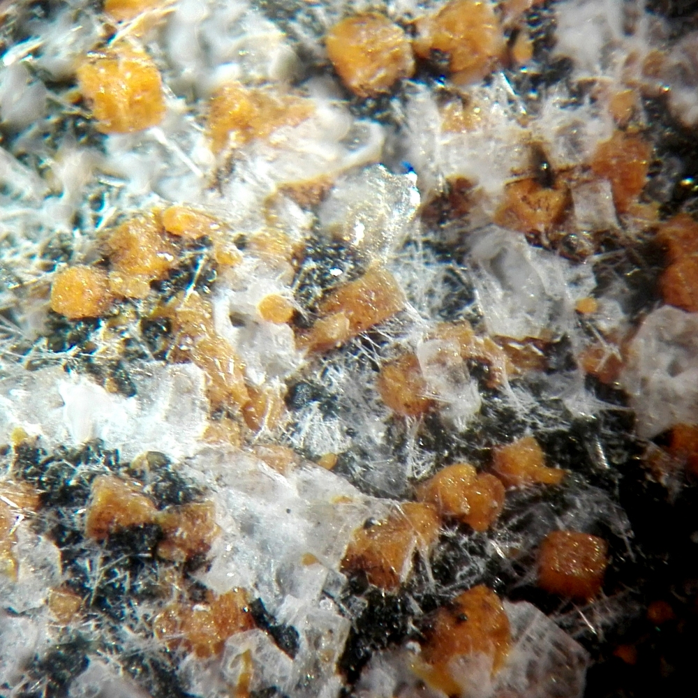 Melilite & Nepheline