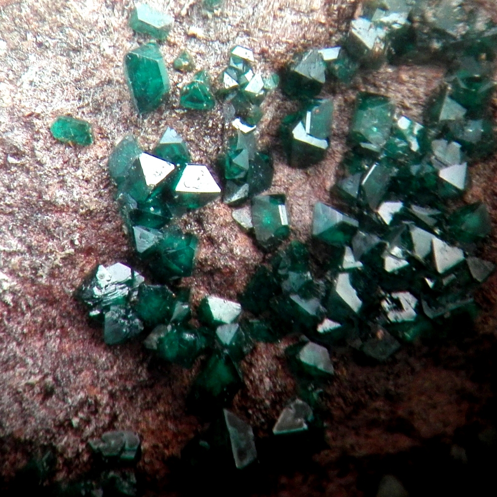 Paratacamite