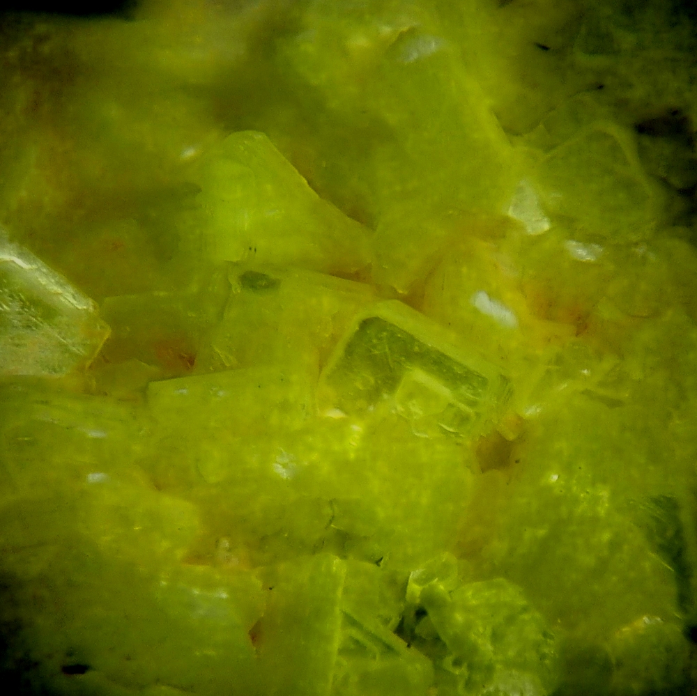 Autunite