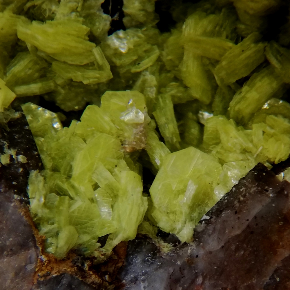 Autunite