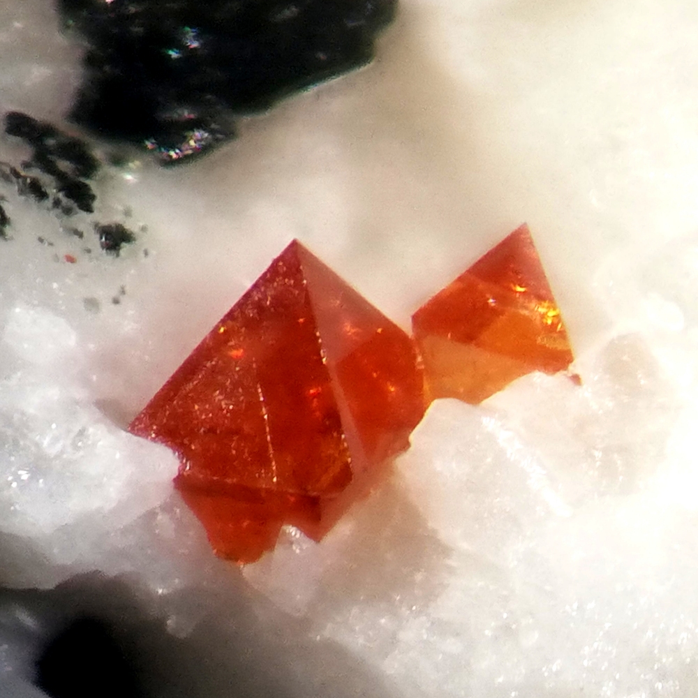 Fluornatropyrochlore