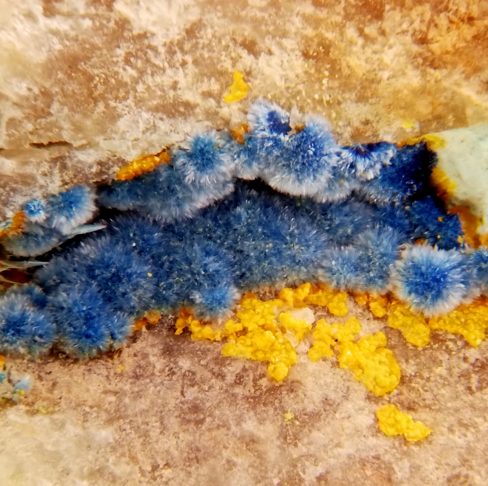 Shattuckite & Mimetite