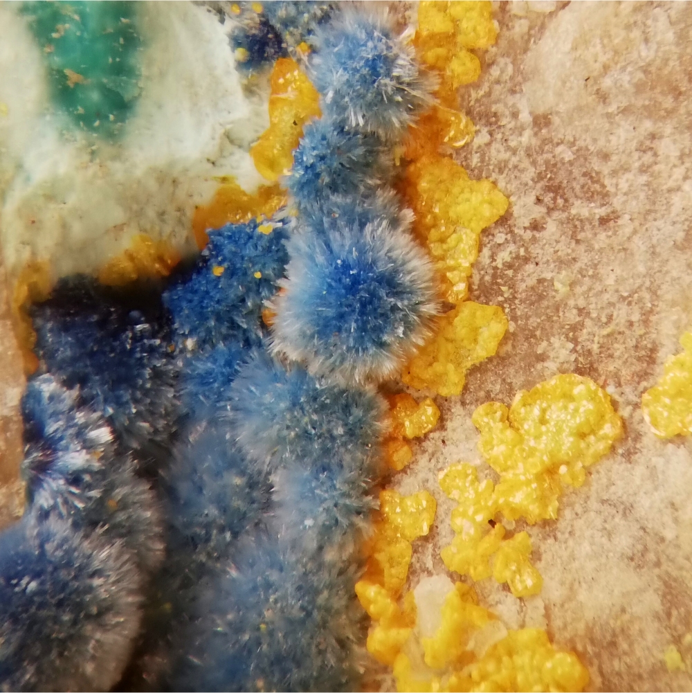 Shattuckite & Mimetite