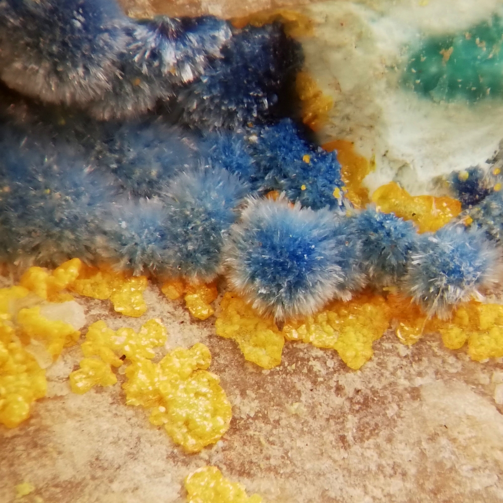 Shattuckite & Mimetite