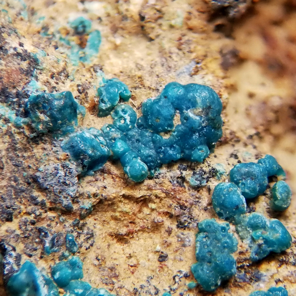 Rosasite