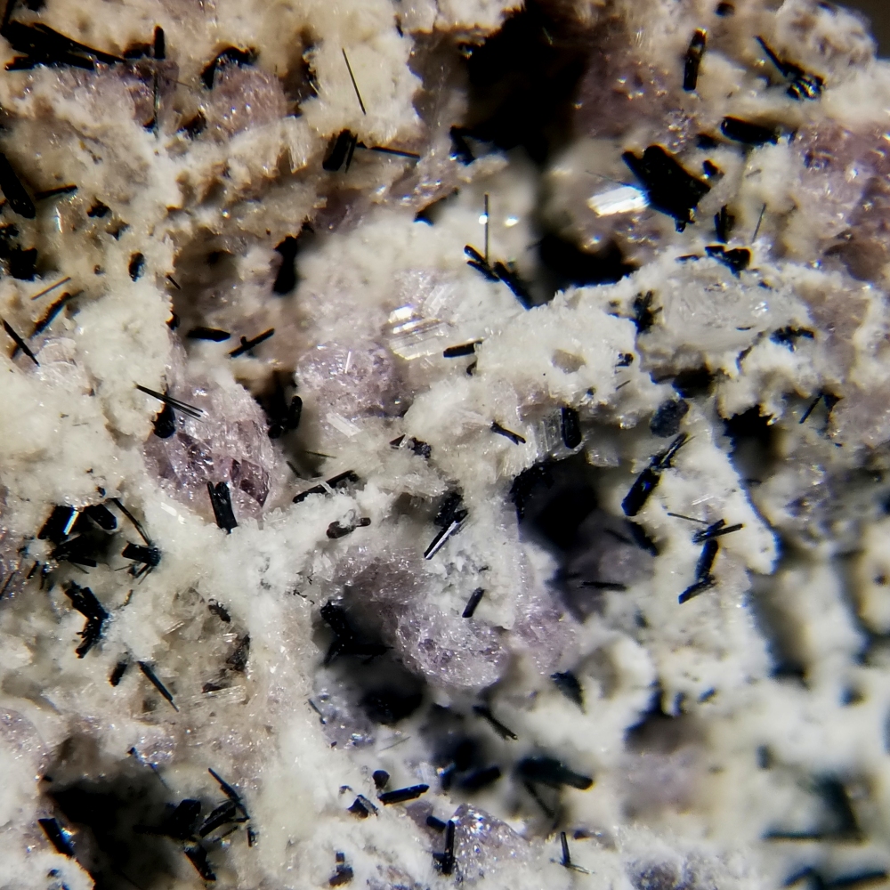 Clinoferrosilite