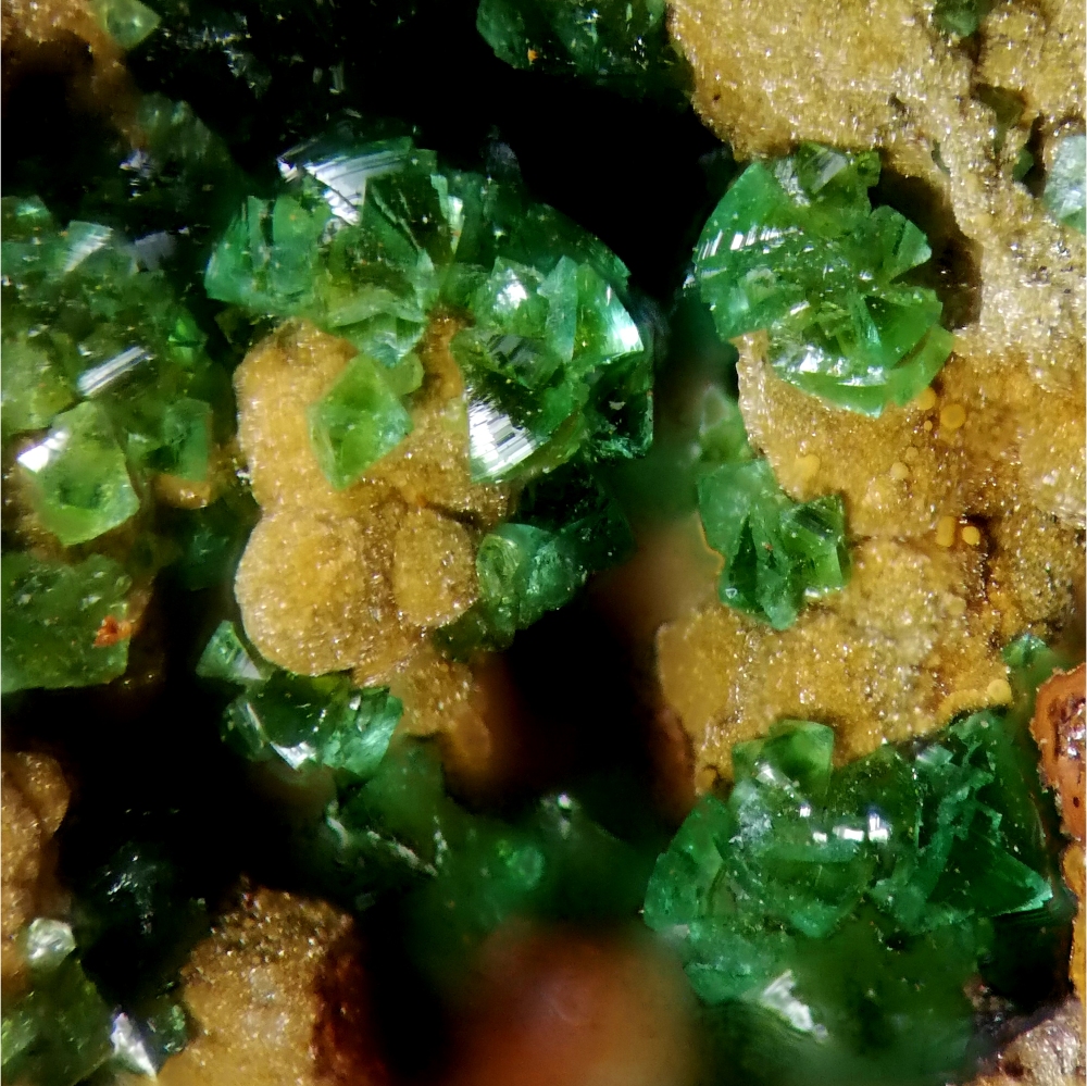 Adamite & Arseniosiderite