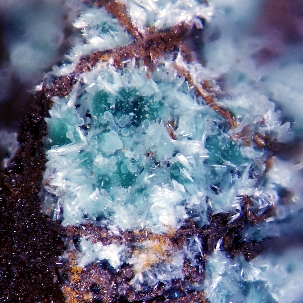 Ajoite