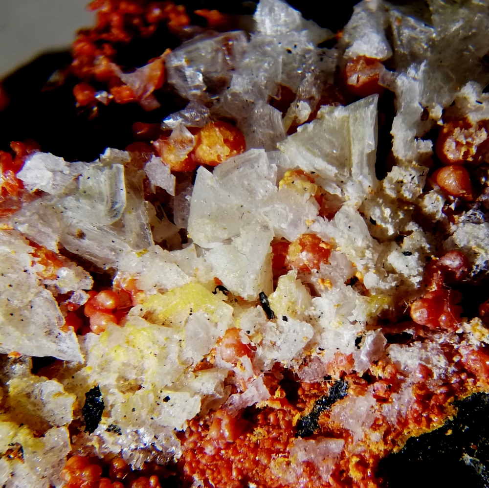 Arsenolite & Realgar