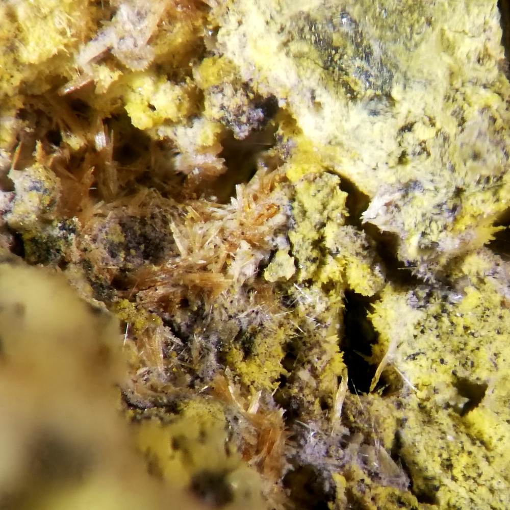 Wölsendorfite Uranophane Uranopilite On Uraninite