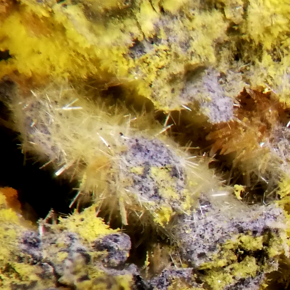 Wölsendorfite Uranophane Uranopilite On Uraninite