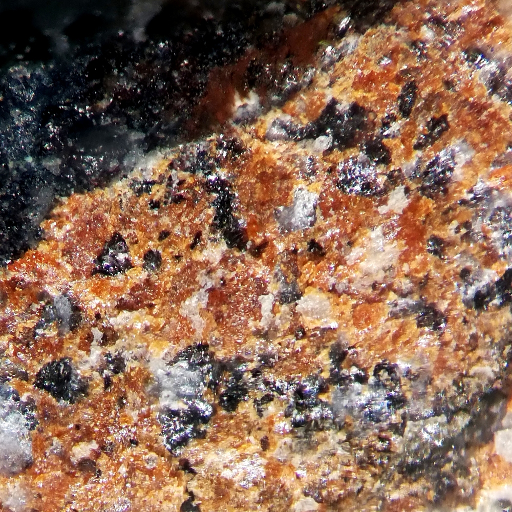 Aldomarinoite