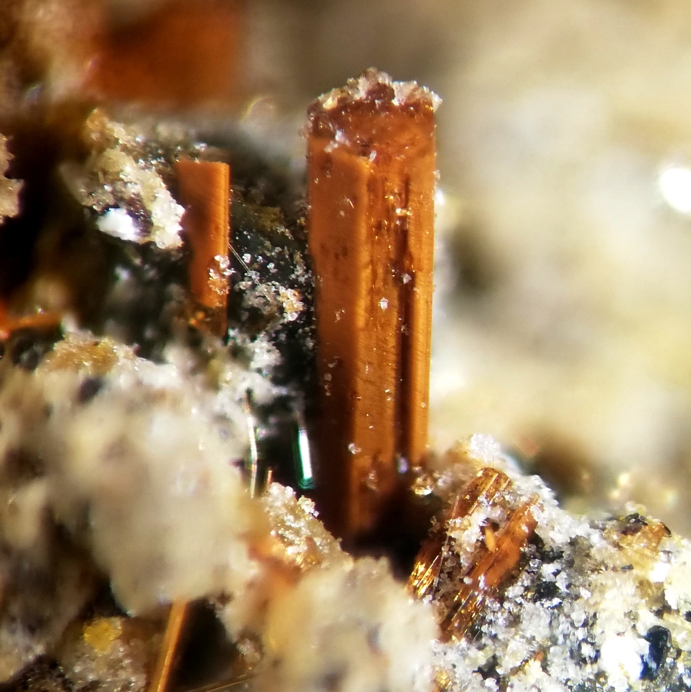 Kaersutite & Sodalite