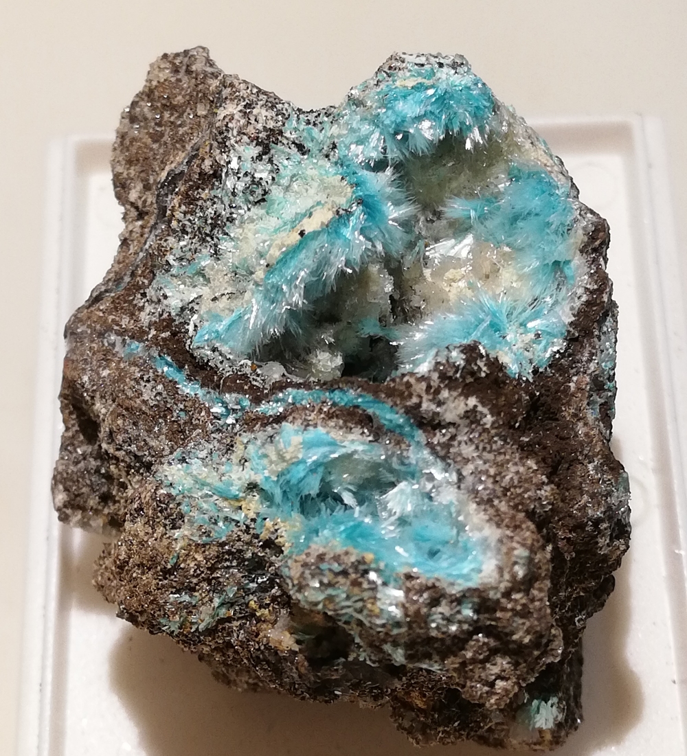 Aurichalcite & Hemimorphite