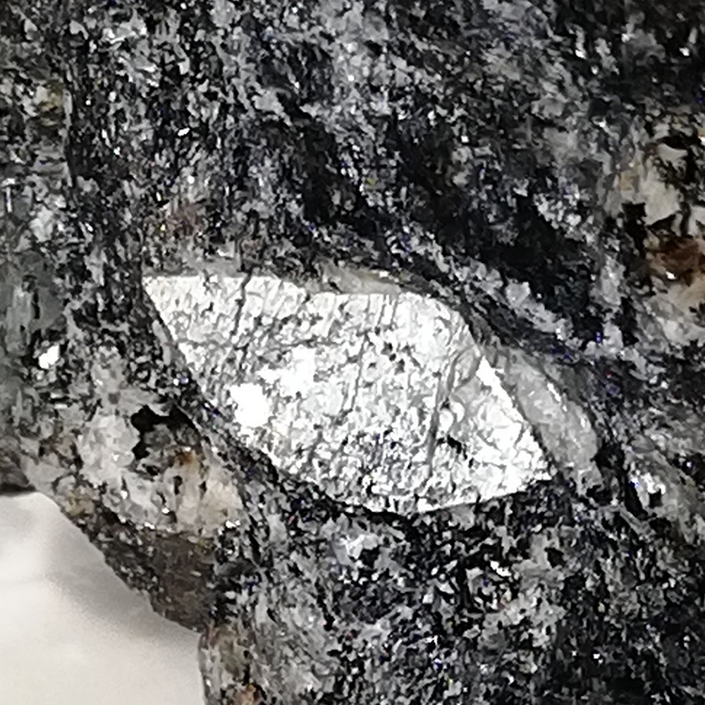 Naujakasite