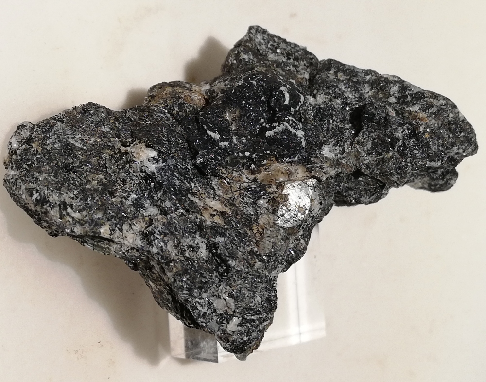 Naujakasite